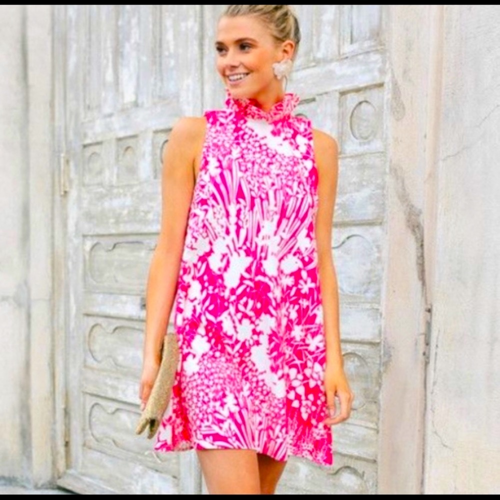 Tuckernuck dress
